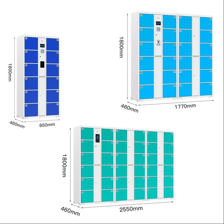 A face recognition locker size options 12 24 36 Face Recognition Gym Lockers for Pools | Powder-Coated Steel That Resists Chlorine